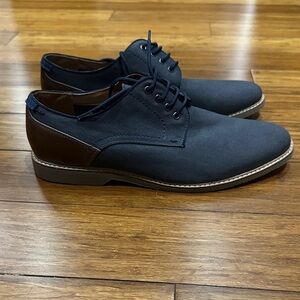Steve Madden Men's Oxford in Navy and Brown